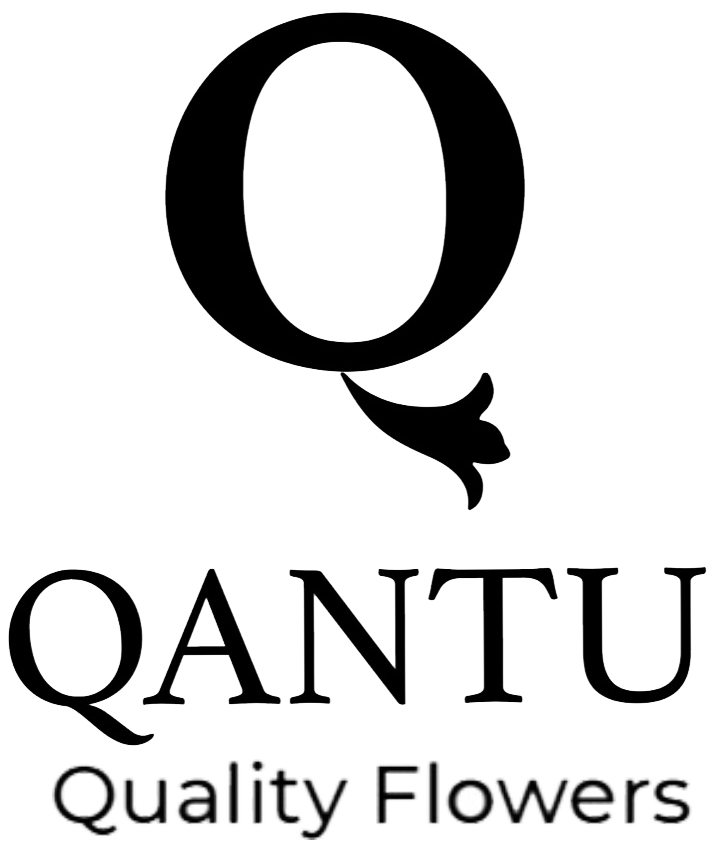 Qantu Qantu